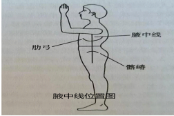 腋中线位置图