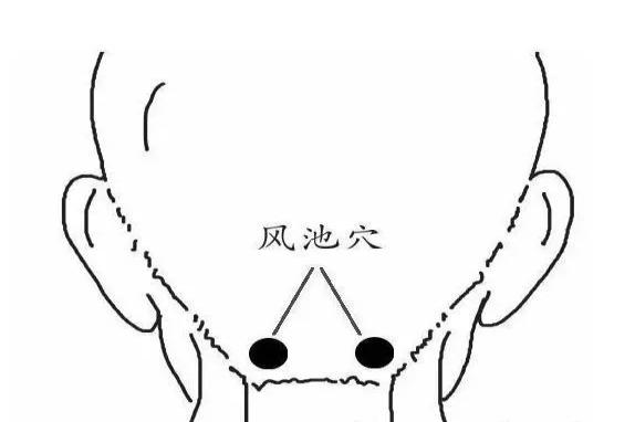 风池穴位置图片