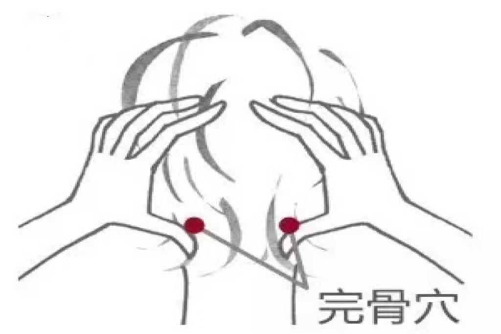 完骨穴位图片