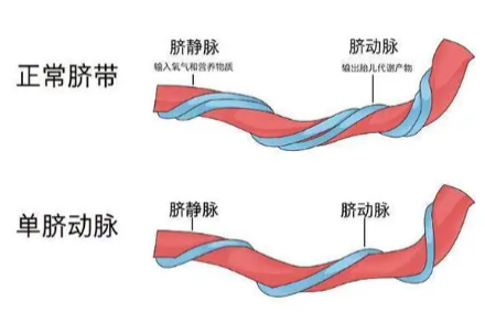 <h3>注意事项:</h3>