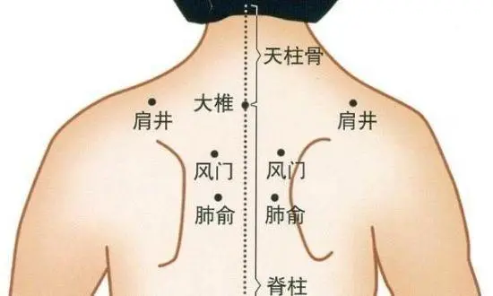 后背位置图详解