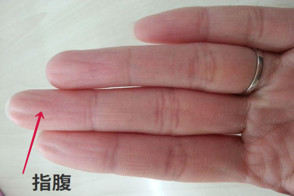 指腹图片