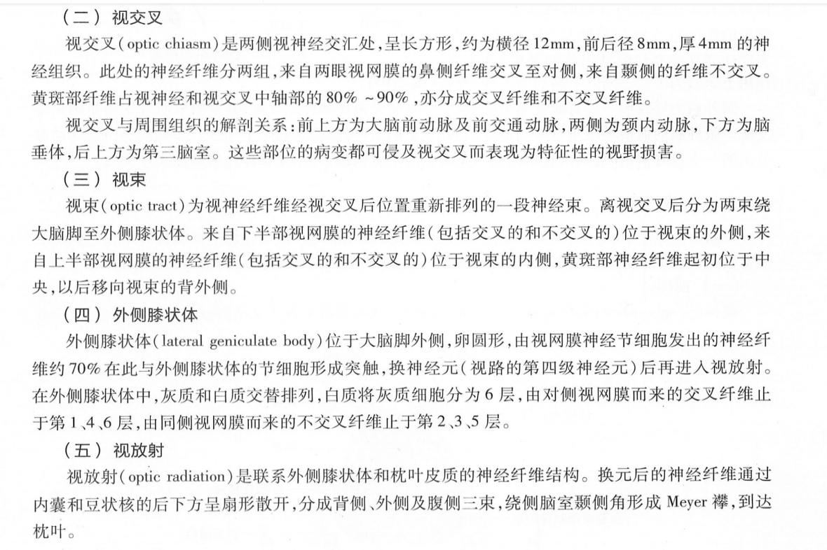 <img src=
