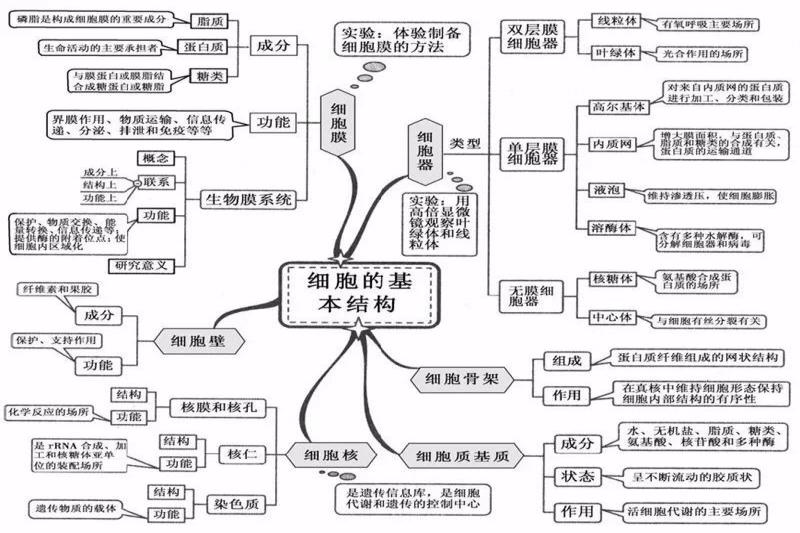 细胞结构基础思维导图