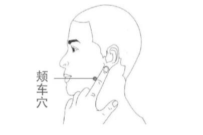 颊车穴位置图片