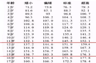 13岁骨龄的标准图