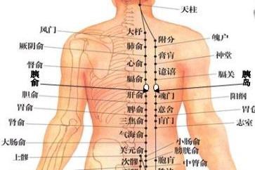 肩胛骨周围经络图解大全图片