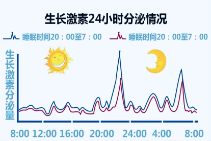 生长激素24小时分泌图