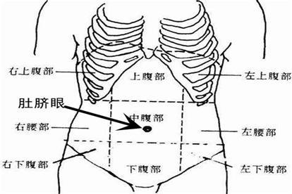 肚脐眼部位图片
