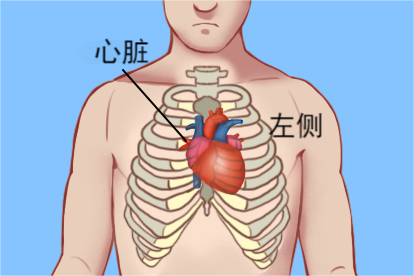 心脏位置示意图