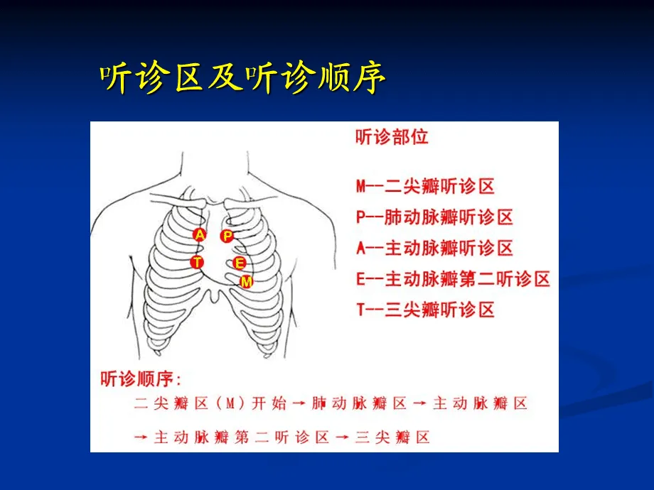吸痰听诊部位四个部位示意图