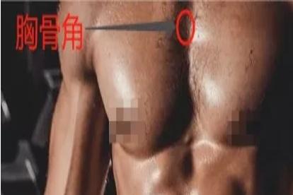 胸骨角位置真人图片