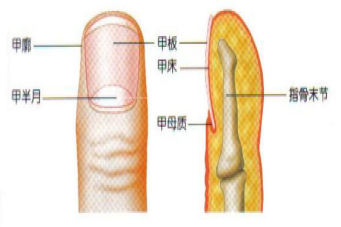 <h3>作用:</h3>