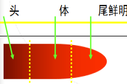 人血涂片结构示意图