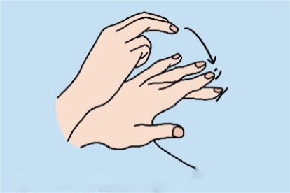 膀胱叩诊手法图解