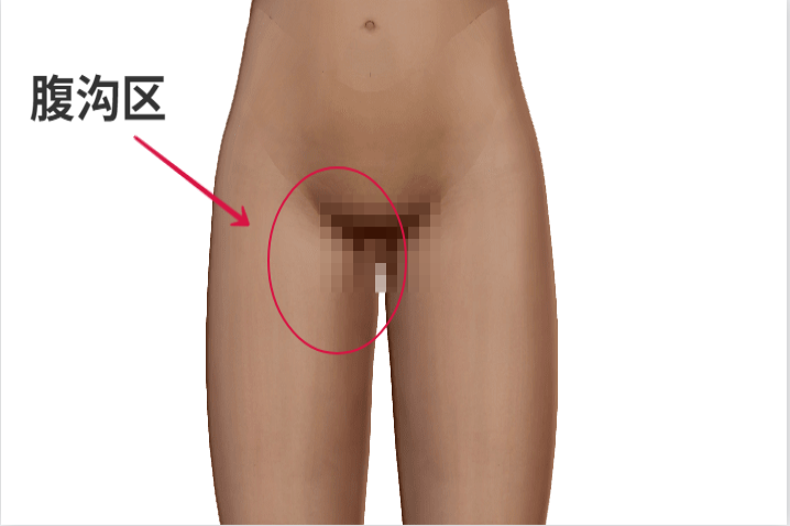 大腿内侧位置图