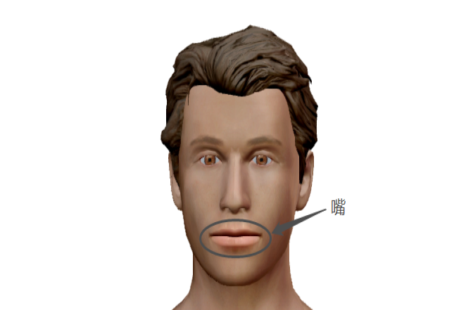 嘴部图片