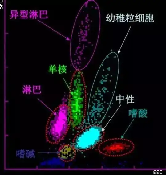 血常规五分类散点图图解