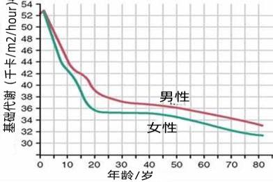基础代谢对照图