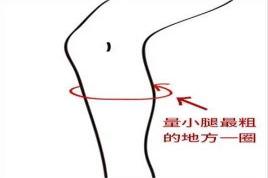 量小腿围位置的图片