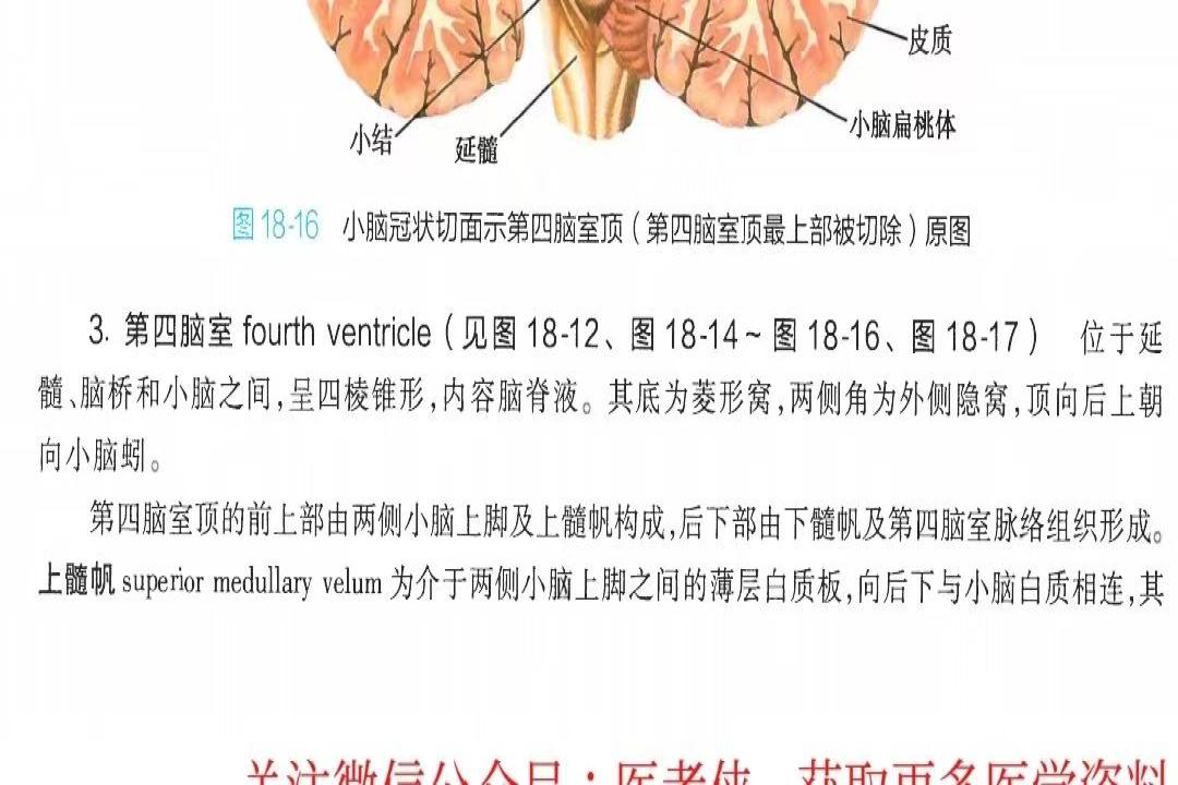 <img src=